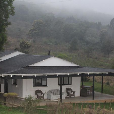 Newstead Farm - Country Cottages Curryʼs Post Dış mekan fotoğraf