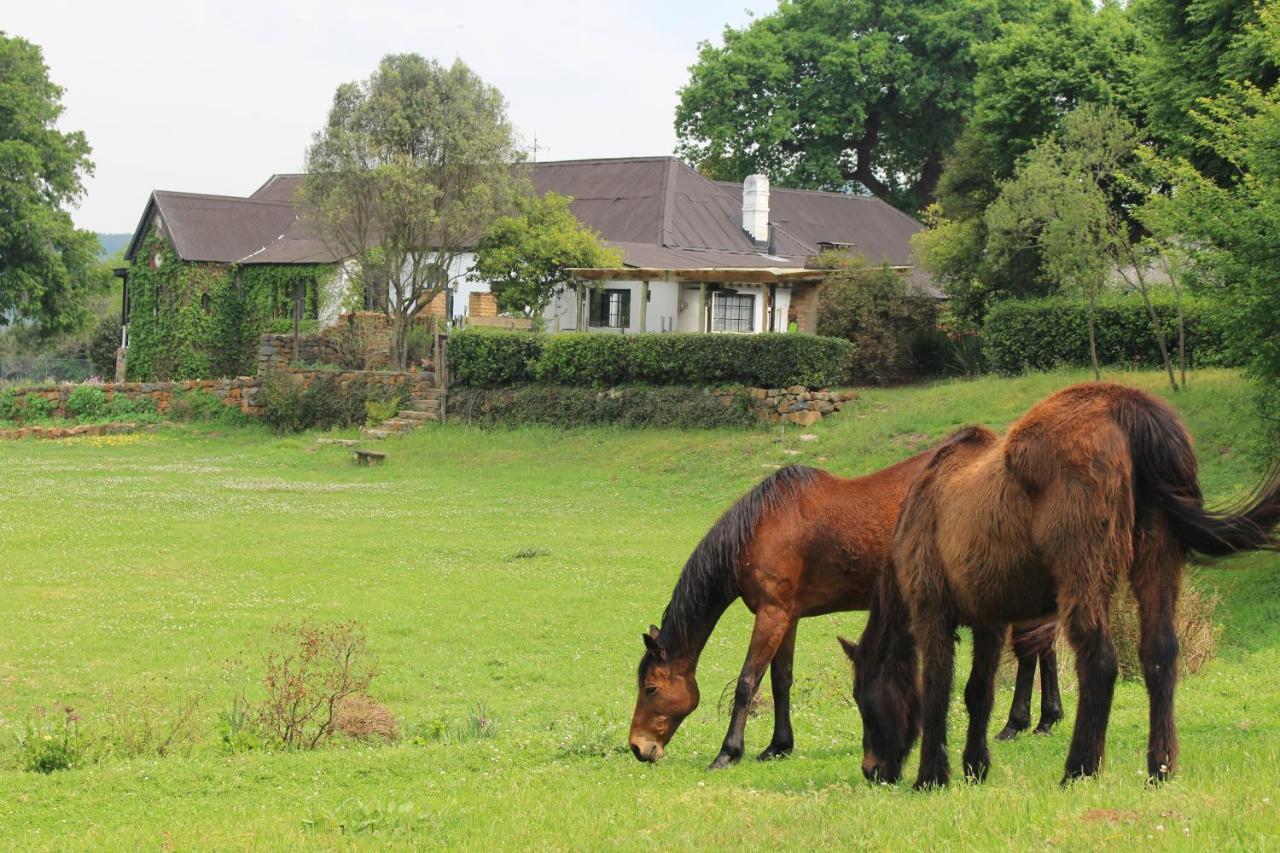 Newstead Farm - Country Cottages Curryʼs Post Dış mekan fotoğraf