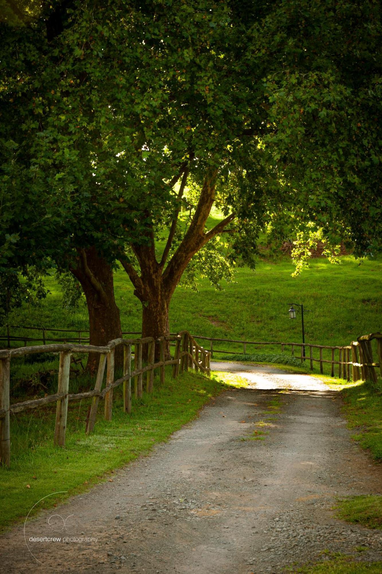 Newstead Farm - Country Cottages Curryʼs Post Dış mekan fotoğraf